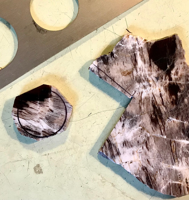 Petrified Wood pendant in sterling silver